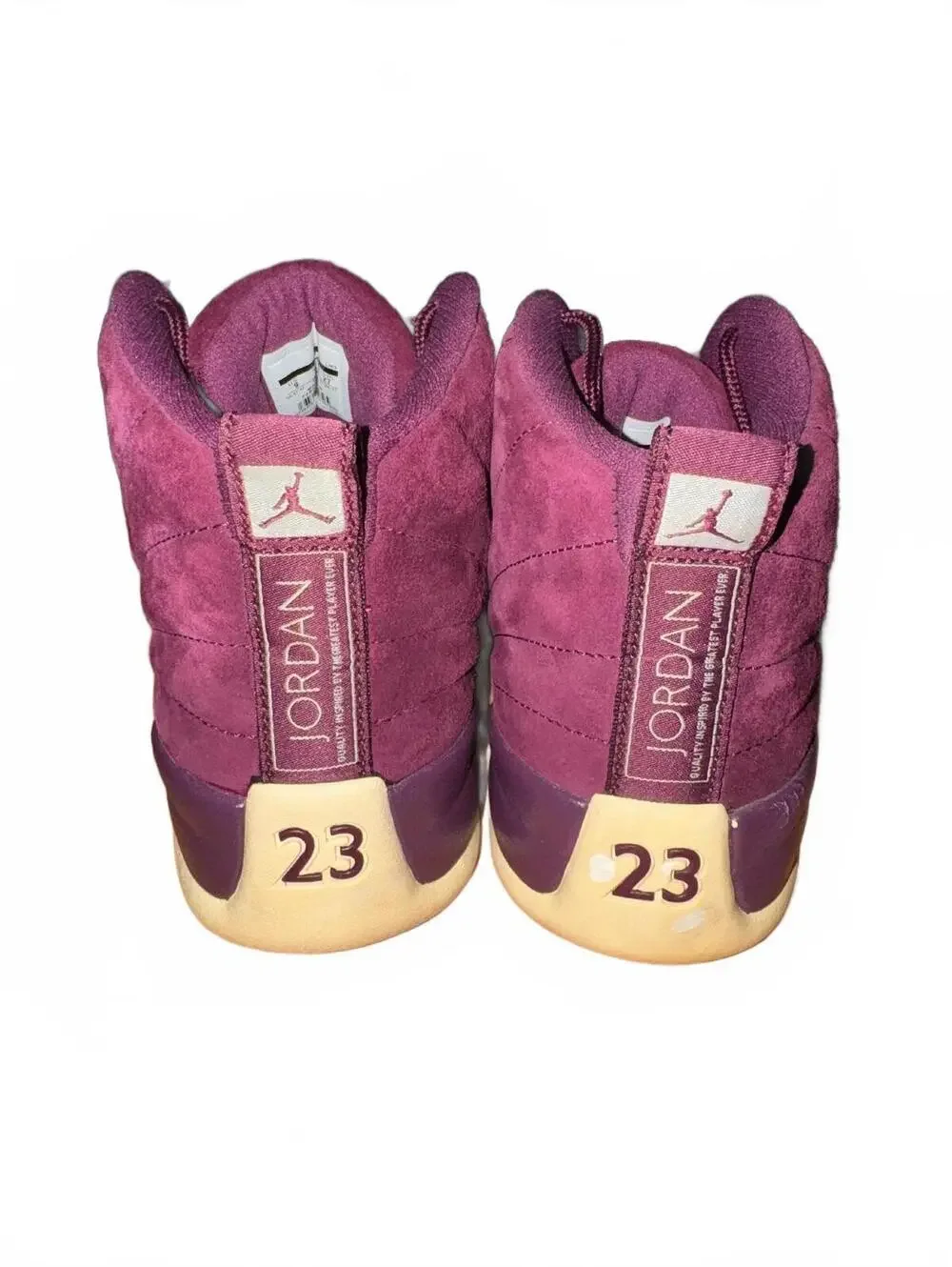 Air Jordan Retro 12 